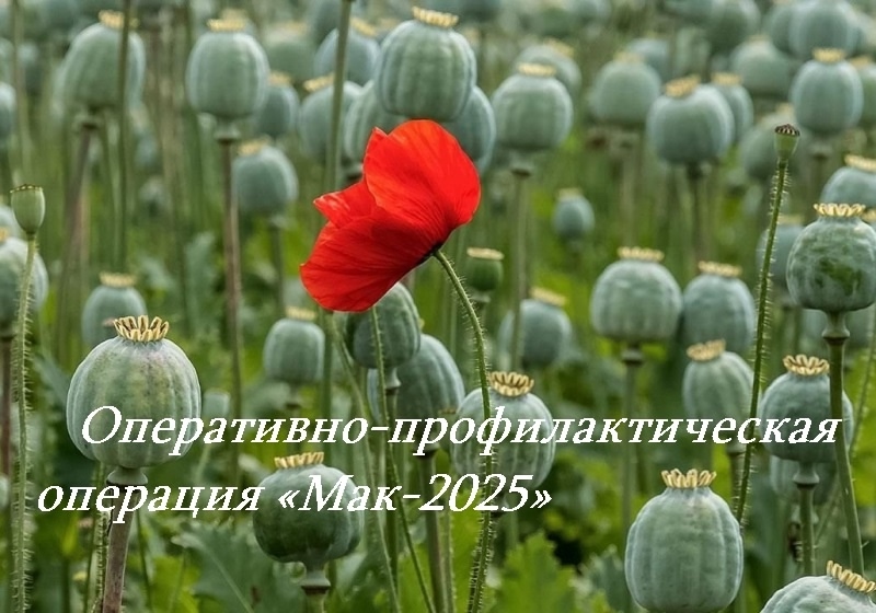 Оперативно-профилактическая операция «Мак-2025»
